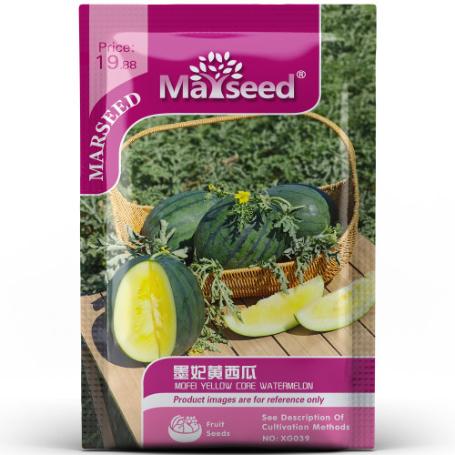 朝阳系列绿皮黄瓢墨妃黄西瓜种子