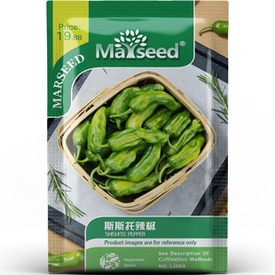 斯斯托辣椒种子种苗修长脆嫩椒青绿爽口微辣东方品种煎烤蔬菜C217