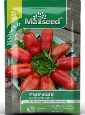 意式调味圣马萨诺番茄形似香肠果肉厚实浓郁醇厚蔬菜种子种苗A115