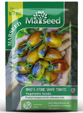 【掌柜推荐】野猪农场新品Brad's Atomic布拉德原子葡萄番茄种子