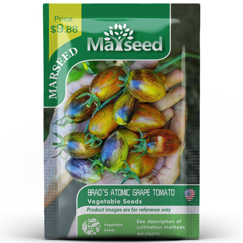 掌柜推荐野猪农场新品番茄种子