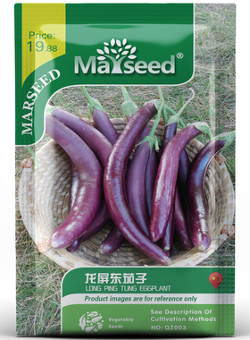【新品推荐】田园Long Ping Tung茄子种子四季蔬菜新鲜高产种子籽