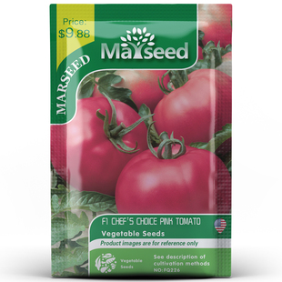 新品 推荐 CHEF CHOICE粉厨师番茄种子 美国AAS奖新品