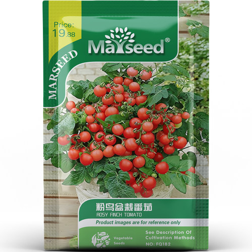 阳台的小甜心粉鸟盆栽樱桃番茄嫩多汁蔬菜高产易养种子种苗脆A095