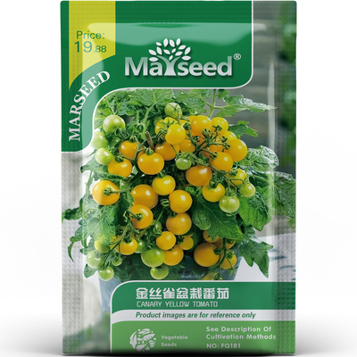 热门阳台党金丝雀盆栽樱桃番茄产量丰富清爽清甜蔬菜种子种苗A094