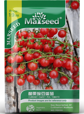 超甜迷你红果醋栗豌豆番茄种子种苗果肉多汁阳台田园蔬菜B033