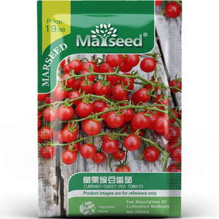 超甜迷你红果醋栗豌豆番茄种子种苗果肉多汁阳台田园蔬菜B033