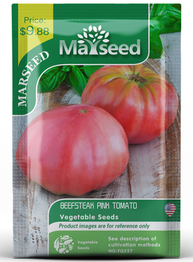 【MARSEED火星家】传家宝BEEFSTEAK PINK 粉红牛排番茄种子