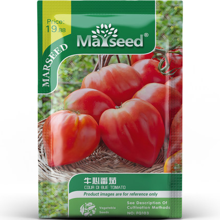 巨型甜果牛心番茄心形状饱满又红亮蔬菜阳台庭院春秋种子种苗A051