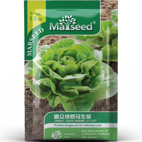 直立绿罗马生菜种子种苗生食清甜醇厚口感丰富天然绿植蔬菜B181