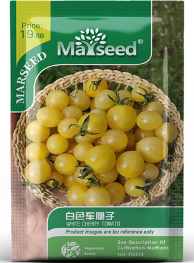 清爽甜果白色车厘子樱桃番茄圆润饱满光滑细腻果蔬菜种子种苗A112