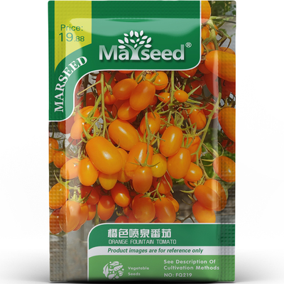 超甜高产橙色喷泉樱桃番茄种子种苗皮薄多汁口感浓郁阳台蔬菜B007