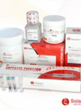 索莱宝 1×PBST缓冲液 PH7.2-7.4 0.01M 液体 500ml