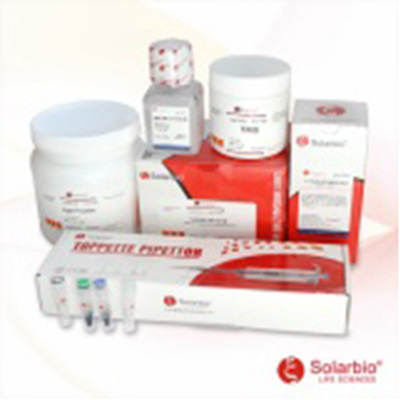 索莱宝1×PBST缓冲液PH7.2-7.4