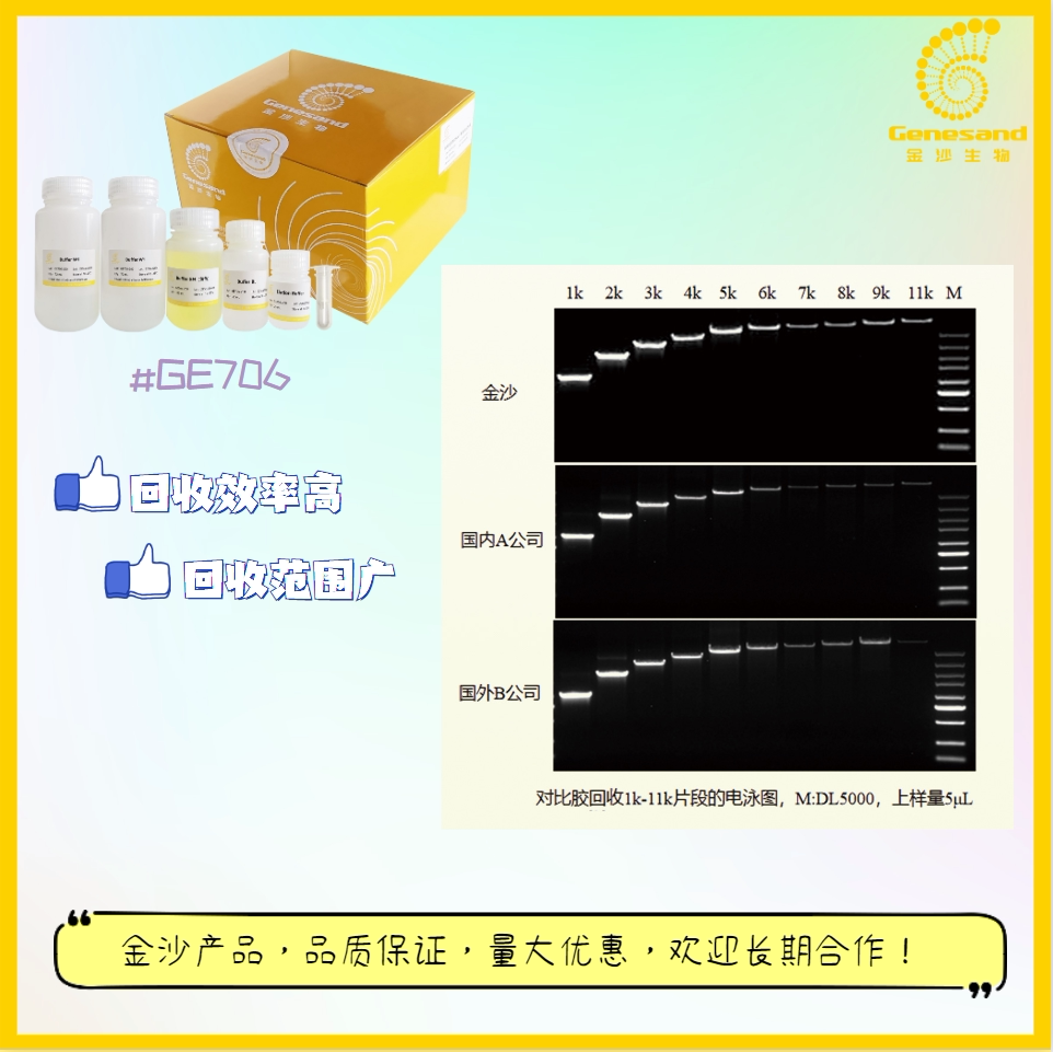 200次 PCR产物回收 DNA凝胶回收试剂盒 (GE706)