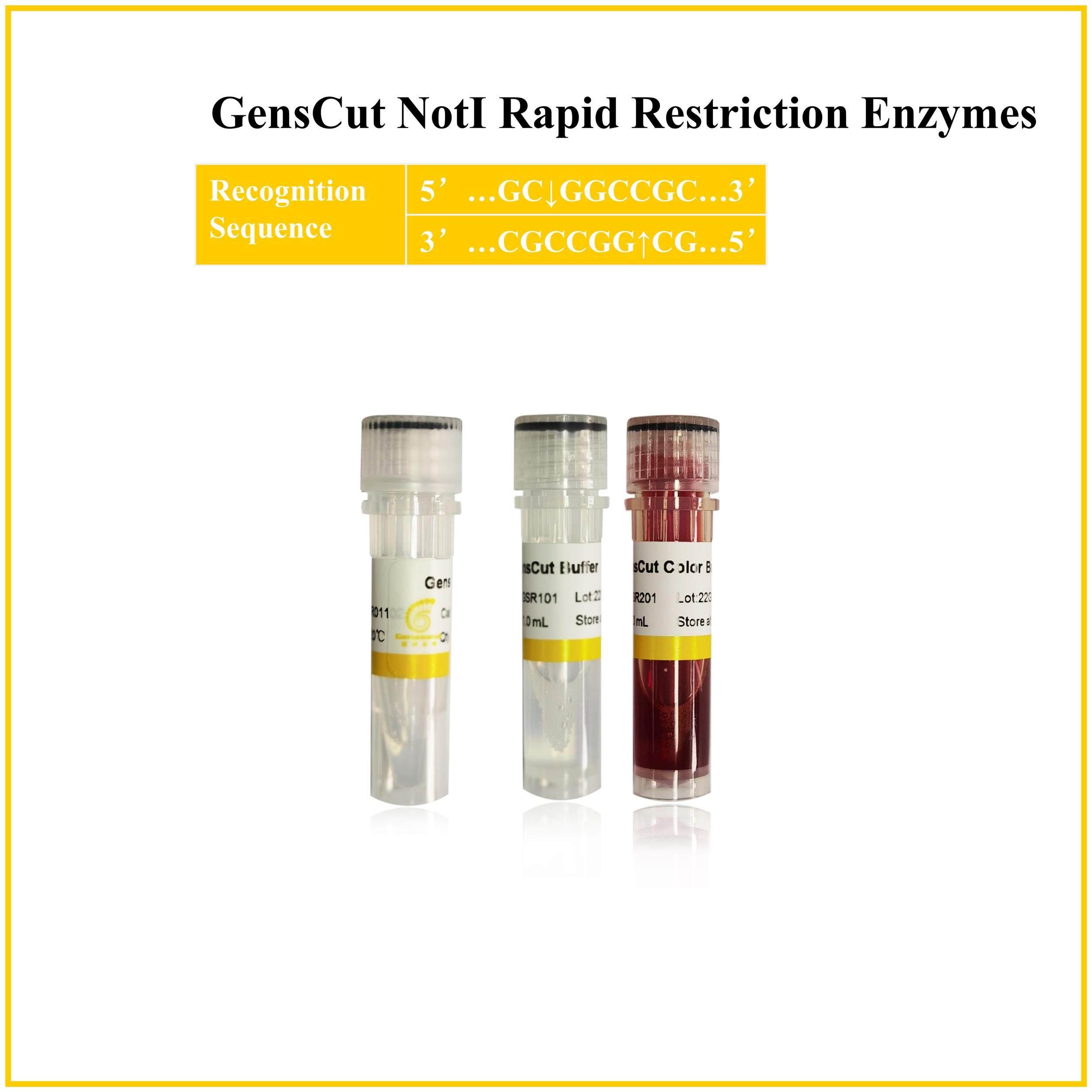 快速限制性内切酶 核酸内切酶 GensCut NotI (GSR027) - 封面