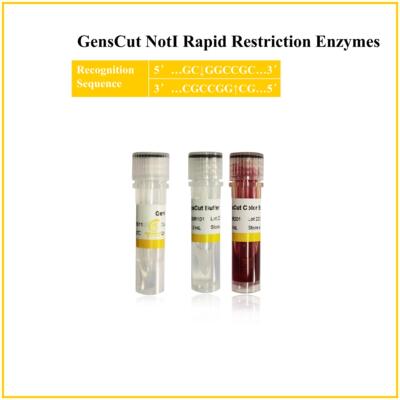 快速限制性内切酶 核酸内切酶 GensCut NotI (GSR027)