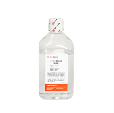 Servicebio赛维尔 1×PBST漂洗缓冲液（即用型）1L（即用型水剂）