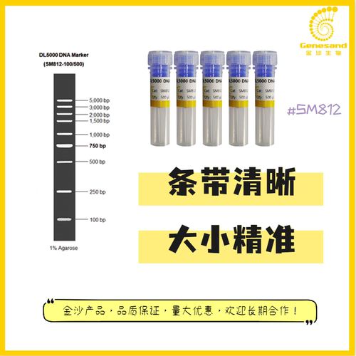 500 μL DL5000 DNA Marker (SM812-100)