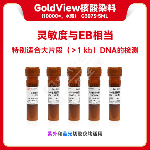 servicebio/赛维尔 GoldView核酸染料（10000×，水溶）1 mL