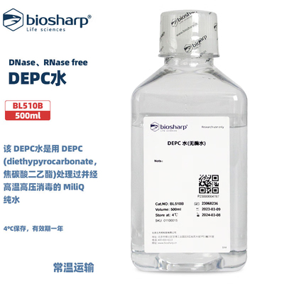 Biosharp白鲨 DEPC水无RNase DNase高温高压消毒 500ml/瓶 含票价