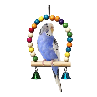 小鸟玩具鸟活体彩色珠子秋千云梯爬梯子虎皮牡丹鸟笼配件鸟用品