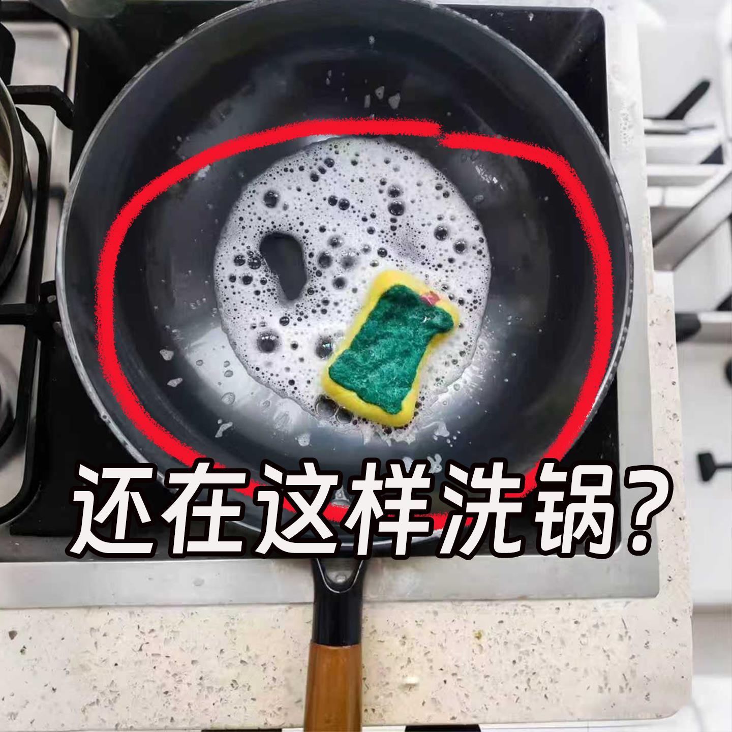 厨房不锈钢长柄钢丝洗锅刷