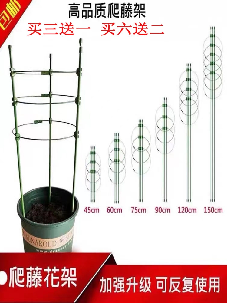 花盆围圈绑花支架植物固定花支架托杆飘香藤花绿萝龟甲龙攀爬藤架