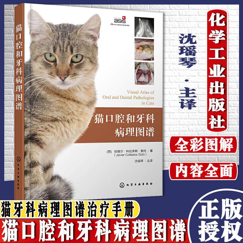 猫口腔和牙科病理图谱 猫牙科病理图谱治疗手册 犬猫组织学牙齿结构 犬猫齿系图谱 小动物牙周探查图例 宠物医生兽医入门参考书籍