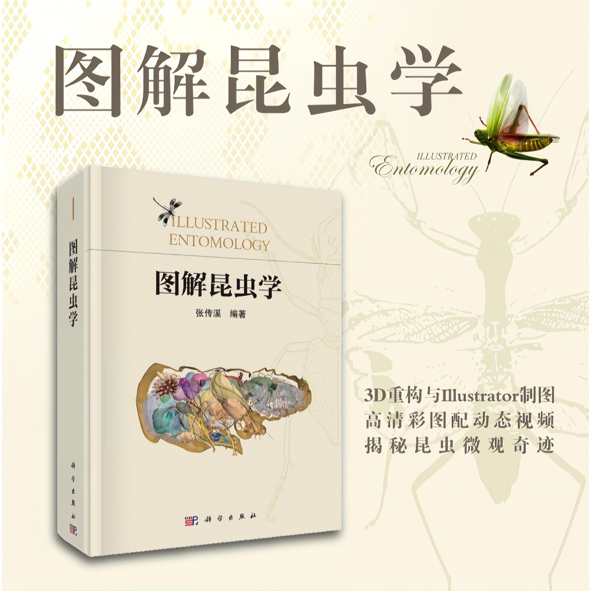 图解昆虫学 张传溪 科普类读物昆虫学入门教材昆虫生物学 昆虫分类学 昆虫生态学9787030774606科学出版社