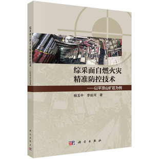 综采面自燃火灾精准防控技术：以平顶山矿区为例 杨玉中 李延河 煤炭自燃事故控制技术理论分析实验数值模拟研究构造煤微观结构