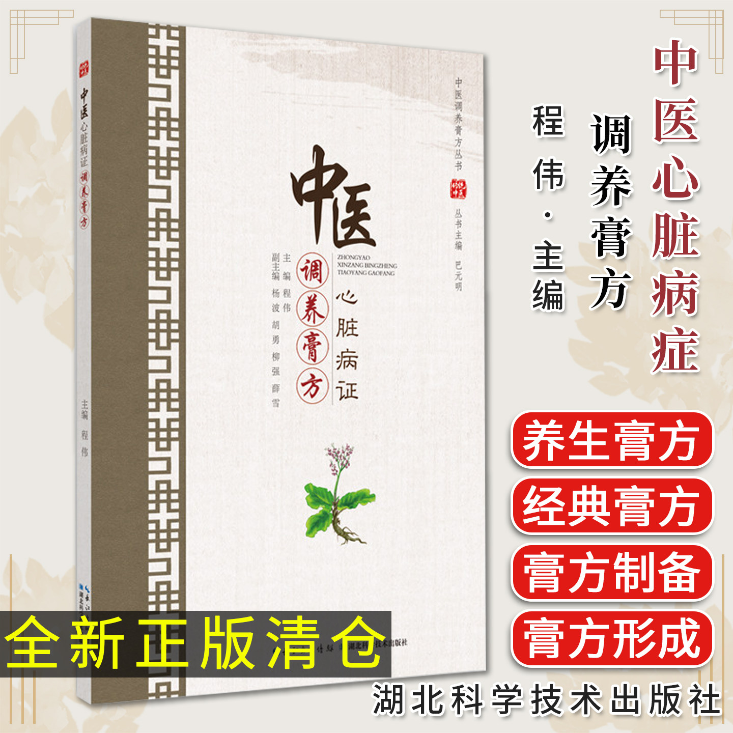 中医心脏病证调养膏方 中医调养膏方丛书 程伟主编 湖北科学技术出版社 9787570609574