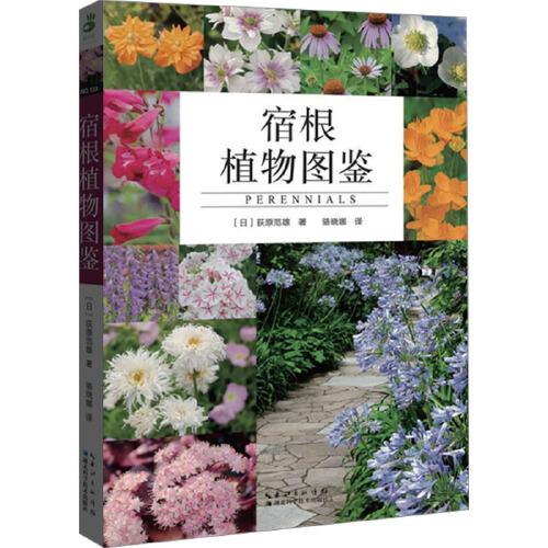 宿根植物图鉴 (日) 荻原范雄著 著 园林艺术 全新正版书籍 湖北科学技术出版社 9787570626397