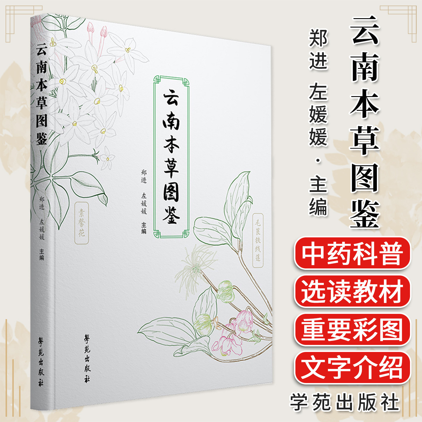云南本草图鉴 左媛媛等 学苑出版社 可作为科普读物 中小学生自然读物 常见的中草药植物 大叶钩藤 紫苏 铜锤玉带草 梁王茶 玉竹