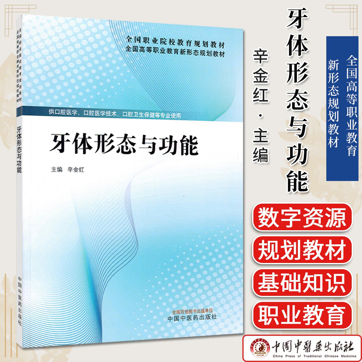 牙体形态与功能 全国高等职业教育新形态规划教材 金红主编 中国中医药出版社9787524700074