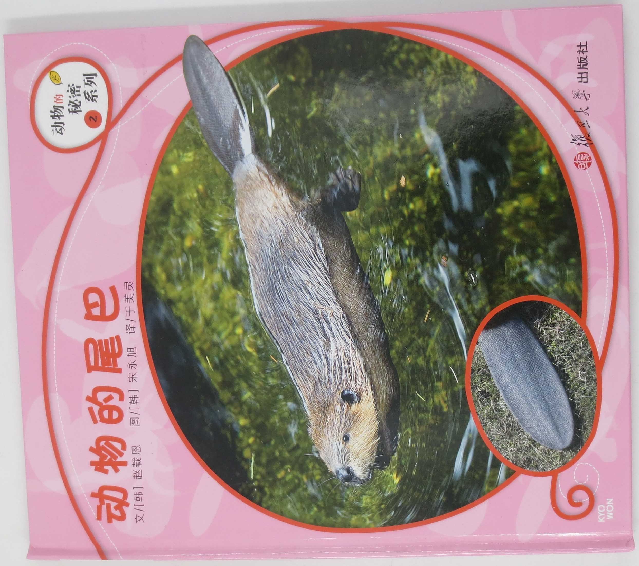 动物的尾巴(动物秘密系列)