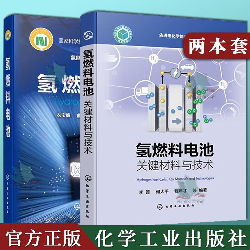 2本氢燃料电池 先进电化学能源存储与转化技术丛书+氢燃料电池关键材料与技术 燃料电池基础材料关键部件 电堆与系统研发应用
