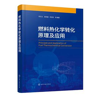 燃料热化学转化原理及应用 邓文义 煤粉生物质等燃料的制备 热化学转化原理计算系统技术 能源动力工程环境科学与工程专业师生参阅