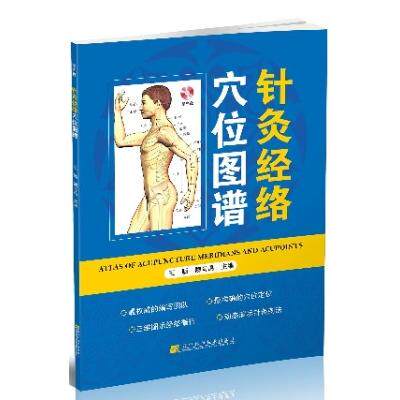 现货 现货 针灸经络穴位图谱 王颖 魏肖禹主编 辽宁科学技术出版社