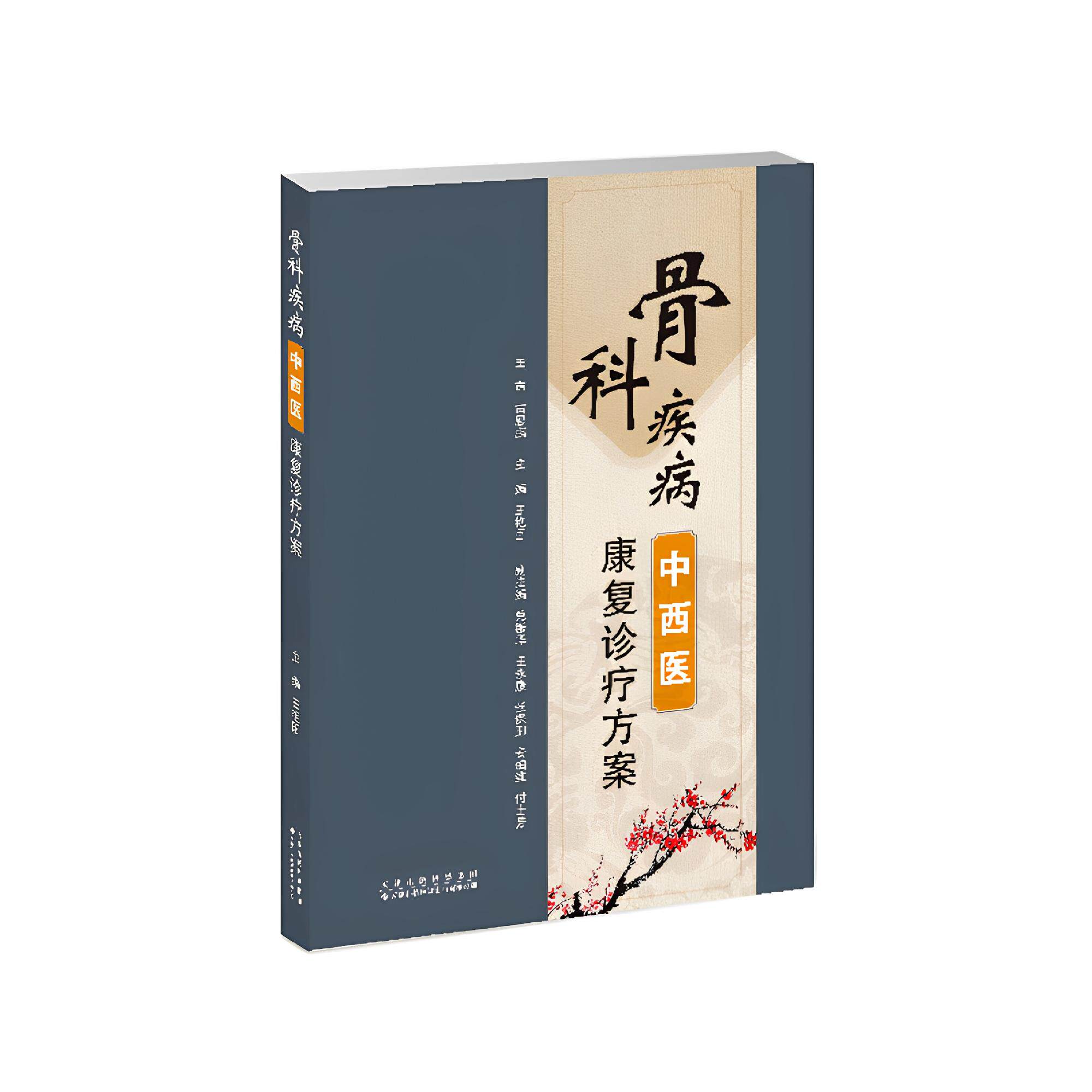 骨科疾病中西医康复诊疗方案9787543347281王艳国天津科技翻译出版有限公司