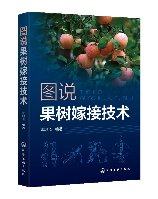 图说果树嫁接技术