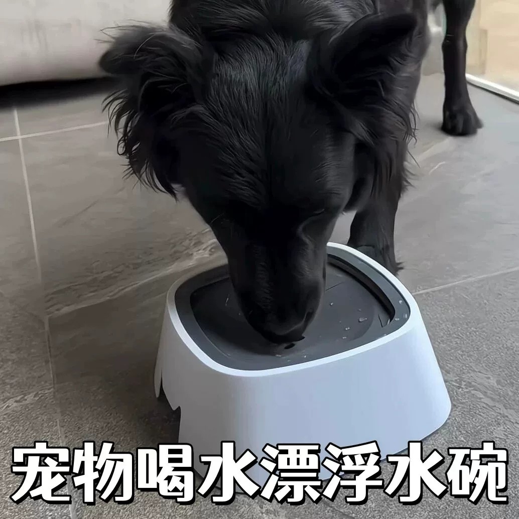 漂浮水碗狗狗猫咪喝水不湿嘴护颈碗分离式防溅水盆饮水器喝水神器