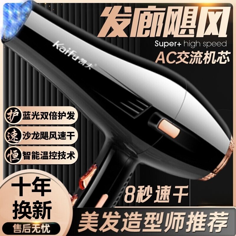 德国发廊专用电吹风机家用大功率