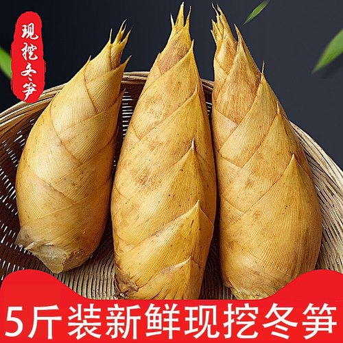 新鲜冬笋嫩竹笋现挖深山野生黄泥笋时令蔬菜江西特产包邮
