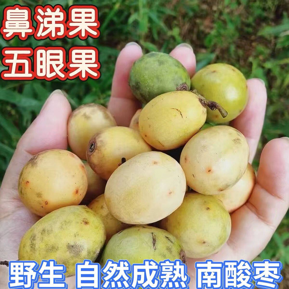 江西正宗野酸枣新鲜酸枣现摘现发大果五眼果鼻涕果鲜果枣酸枣糕