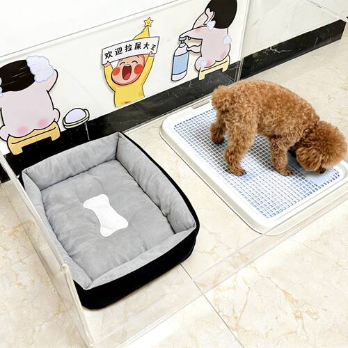 网红款透明亚克力狗厕所狗窝