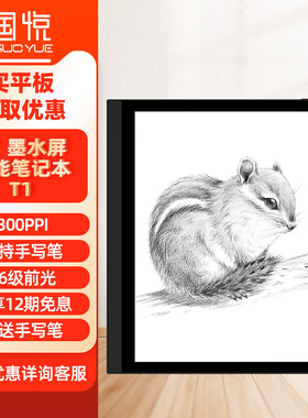 【300PPi】国悦 T1 墨水屏电纸书阅读器电子书阅览器pdf平板看书手写记事本智能电子笔记本7英寸墨水屏办公本