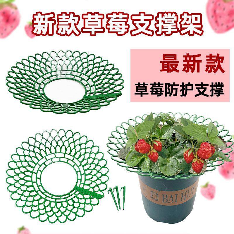 大小号栽培架绿色草莓架子盆栽托盘架阳台园艺工具种菜种植架,家居饰品,仿真植物盆景,淘宝优惠券,粉丝福利购,淘宝优惠卷