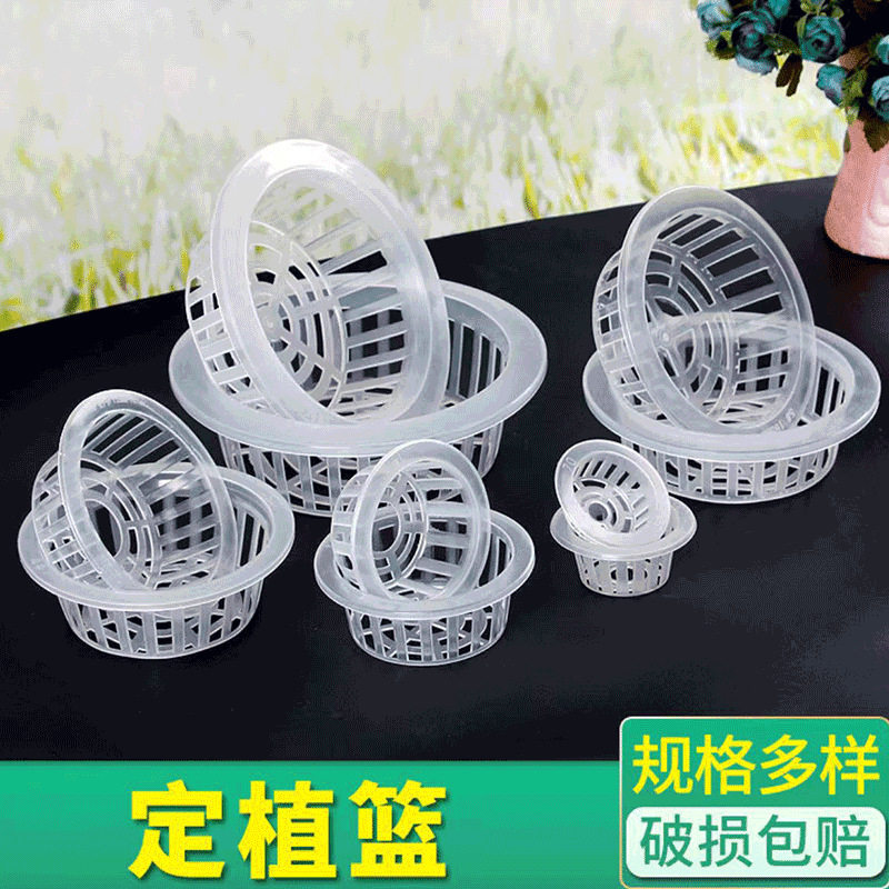花卉多肉塑料观察定植篮蔬菜固根器定植杯可水培半透明种植无土栽,家居饰品,仿真植物盆景,淘宝优惠券,粉丝福利购,淘宝优惠卷