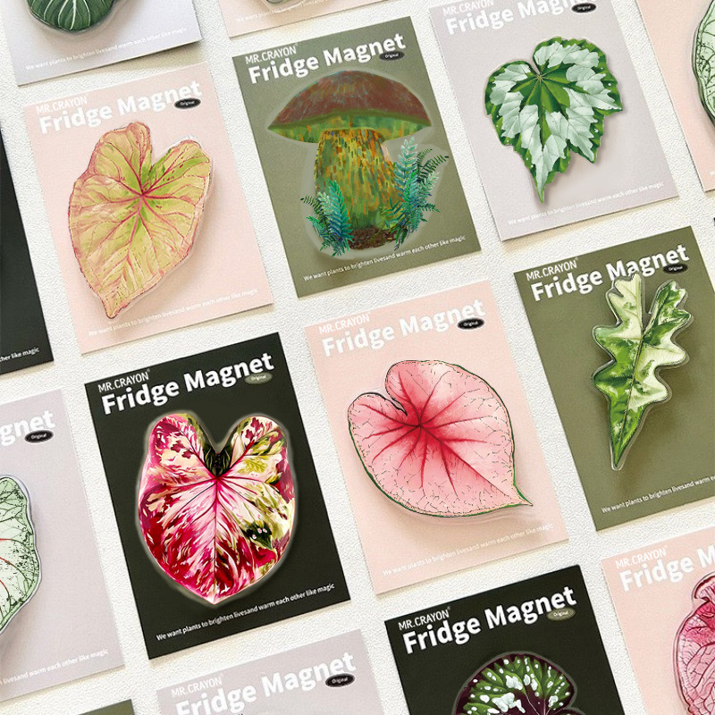 纪念品冰箱贴送朋友彩叶芋植物彩叶芋冰箱贴小红书同款绿植文创